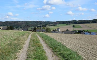 Der Schwinghäuser Weg